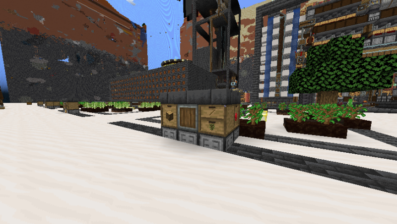 文件:旋转树场橡木单元近景 2024-08-05 20.52.47.png