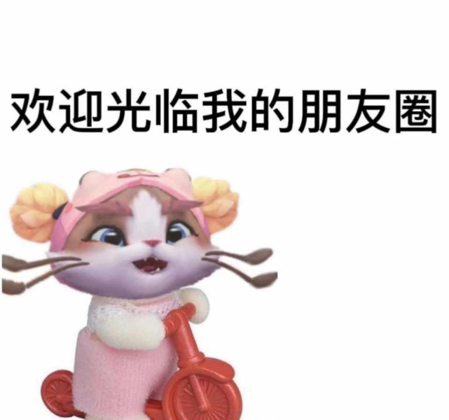 文件:欢迎光临我的朋友圈.png