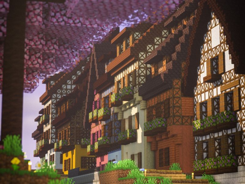 早期喵樱景色,摄于中心区。